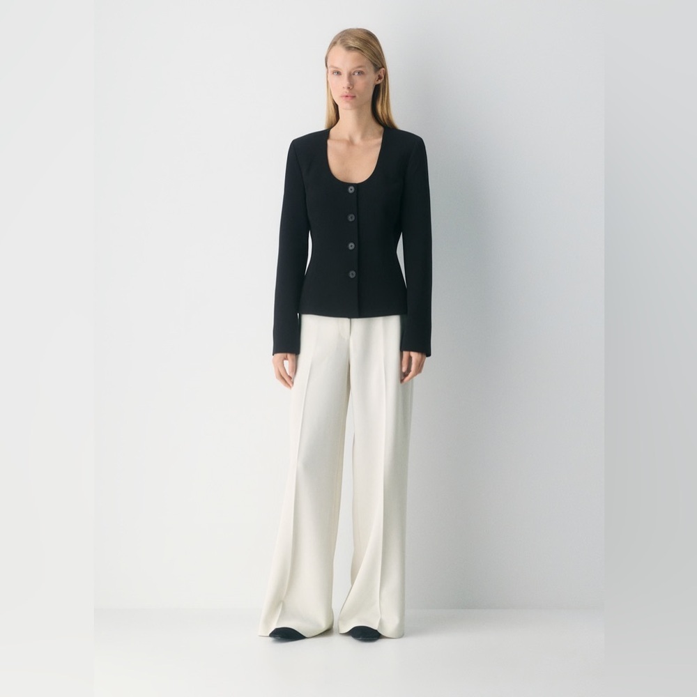 Aritzia Babaton Leeway Pant - Sway Crepe